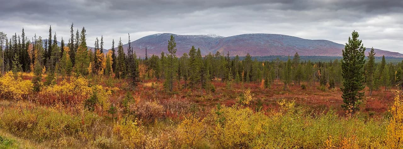 Pallas-Yllästunturi National Park
