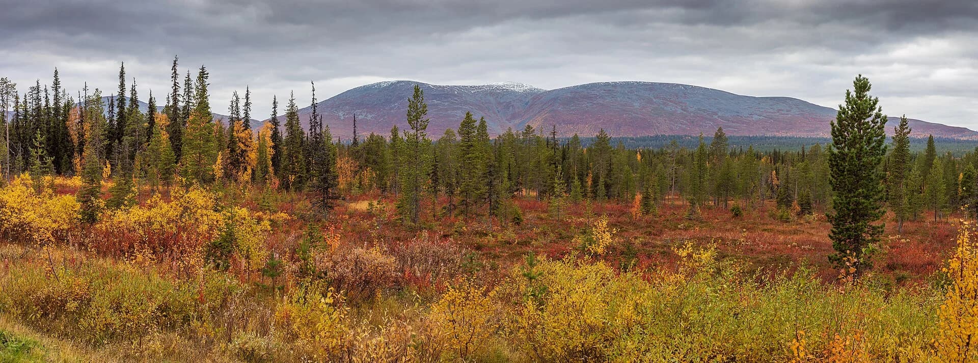 Pallas-Yllästunturi National Park